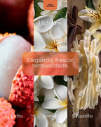 Rosa Selvagem Body Splash Highway - imagem 2